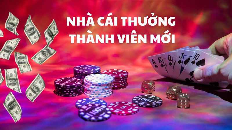 Chiến lược của nhà cái: Tăng lợi nhuận thông qua khuyến mãi